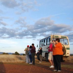 CABAÑEROS (Parque Nacional) Nueva visita guiada 4x4 para Grupos Organizados