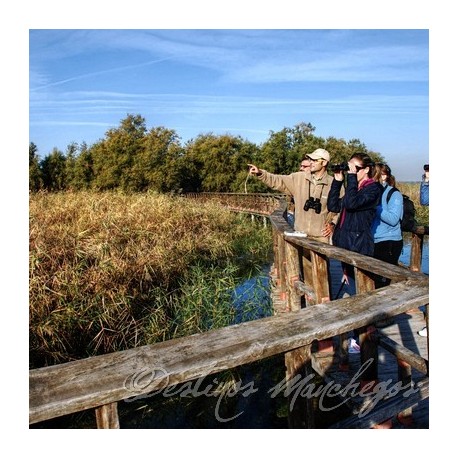 LAS TABLAS DE DAIMIEL (Parque Nacional) Visita guiada senderista