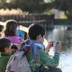 LAS TABLAS DE DAIMIEL (Parque Nacional) Visita guiada senderista